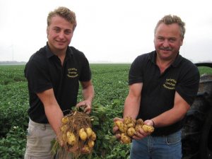 v.l.: Andreas und Heinz Overings beim Kartoffel-Ernten So tickt die Kartoffel (Foto: © Overings)