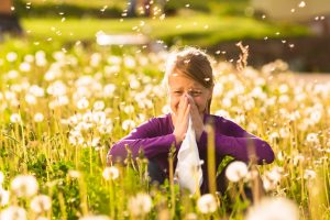Mit dem Frühling kommen auch die Pollen. Diese sorgen für laufende Nasen und tränende Augen. (Foto: ©Kzenon/Fotolia)