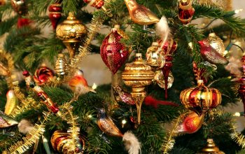Weihnachtsbaum (Foto: © pixabay.de)