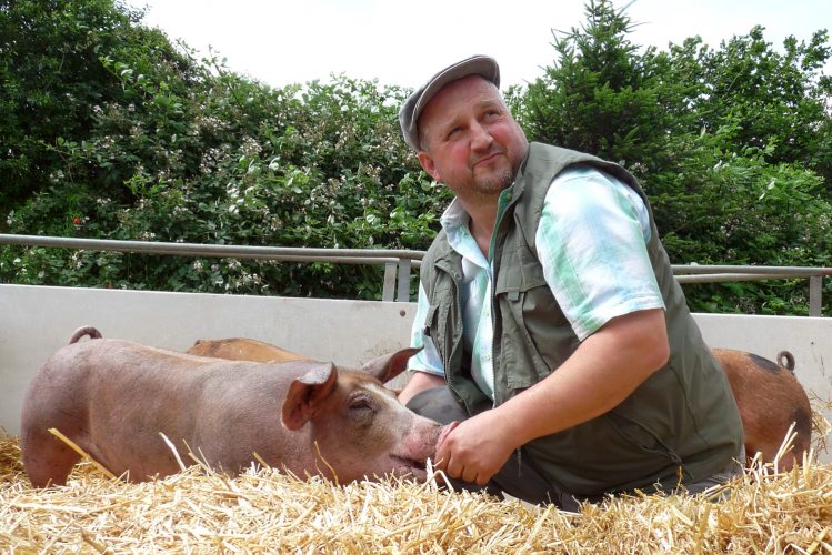 Willi Steffens mit seinen Schweinen in einem der Außenklimaställe. (Foto: © Pötterhof)