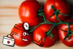 Tomaten-Doktor (Foto: © timreckmann / pixelio.de)