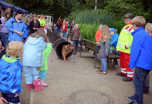 Rettungshundestaffel im Zoo Krefeld (Quelle: Zoo Krefeld/V. Gorissen)