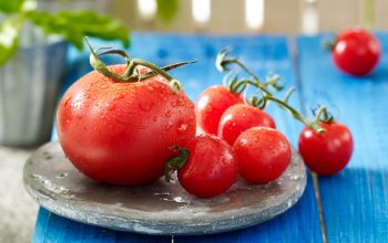 Frische Tomaten (Foto: © EDEKA)
